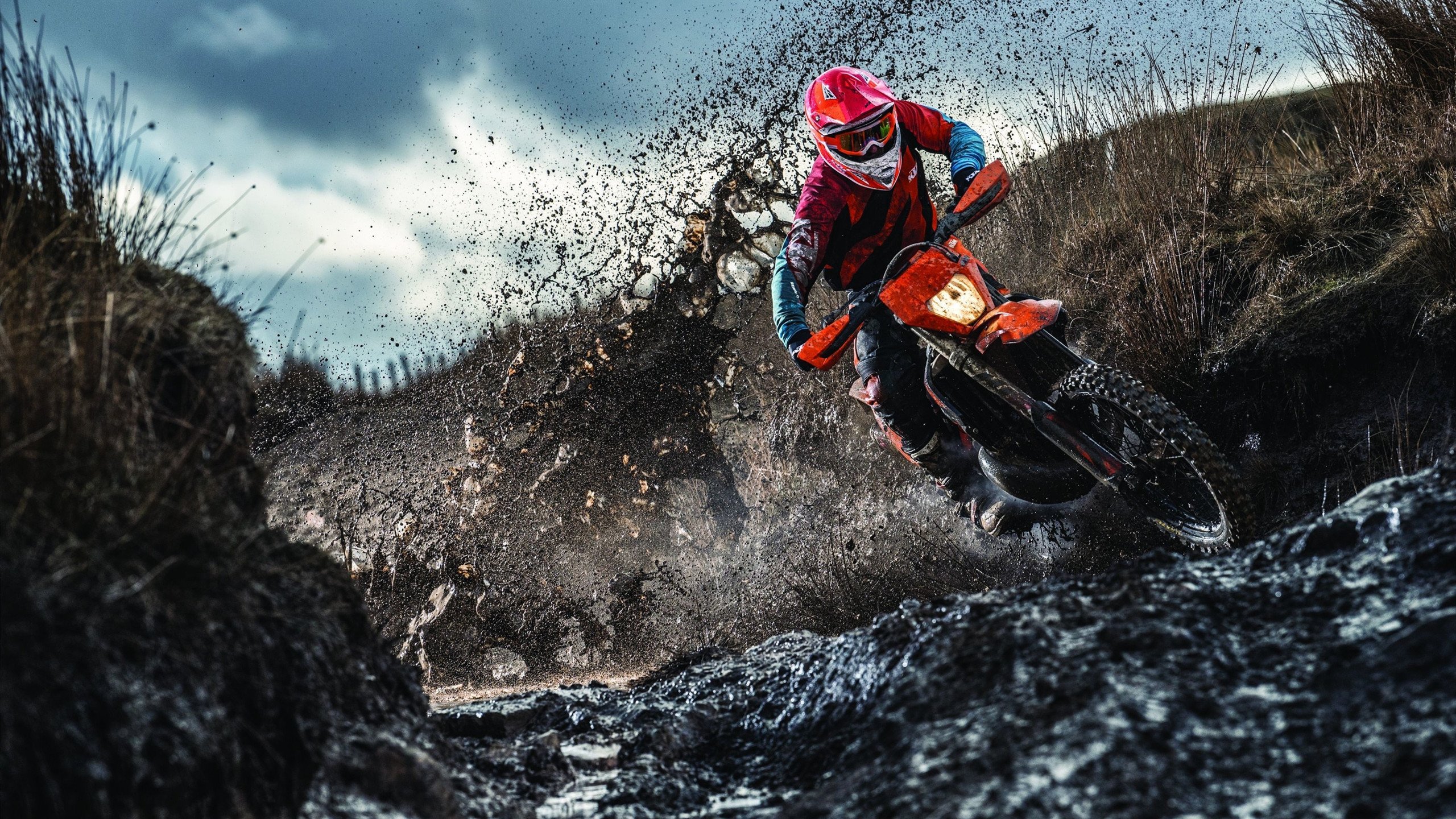 京多安成全场焦点,波兰一波流带走阿尔及利亚—战术与意志的双重胜利