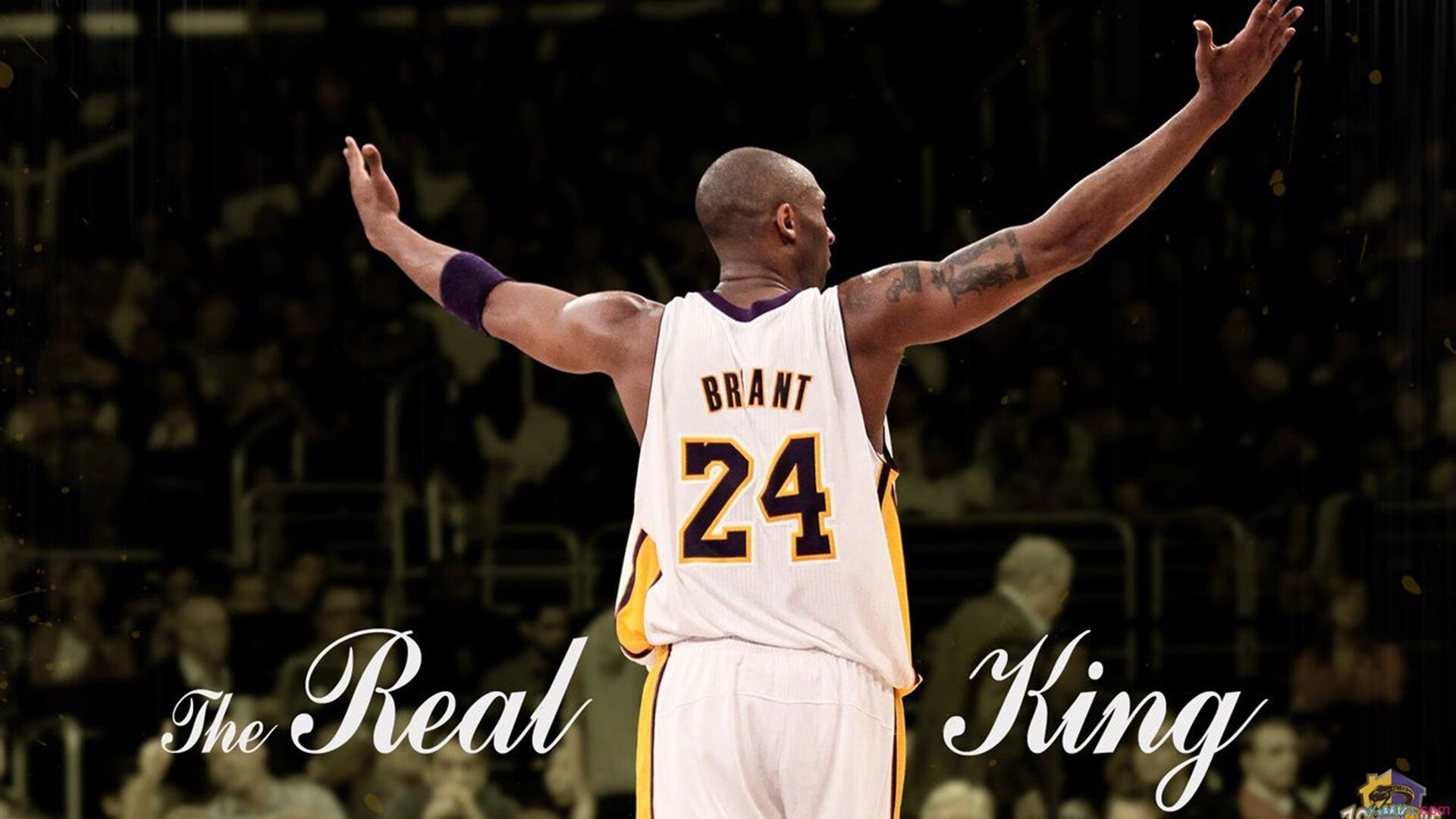 湖火燎原，米切尔掌控全局，紫金军团全面压制森林狼